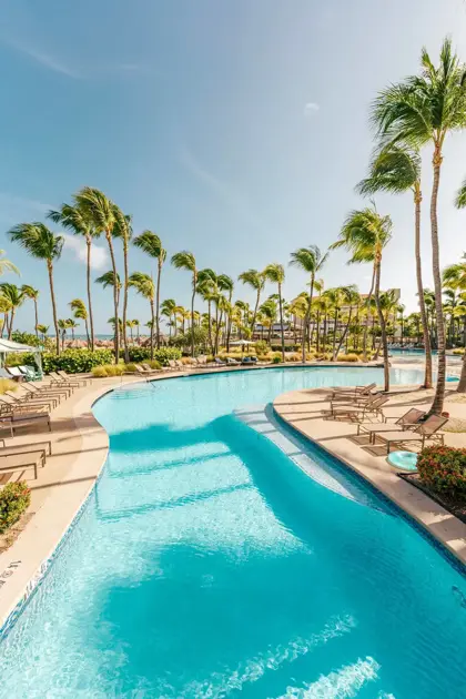 1646843312149_0.28678775064943207